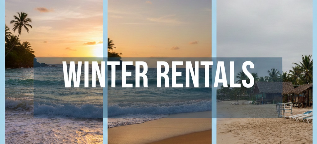 Winter and Monthly Rentals